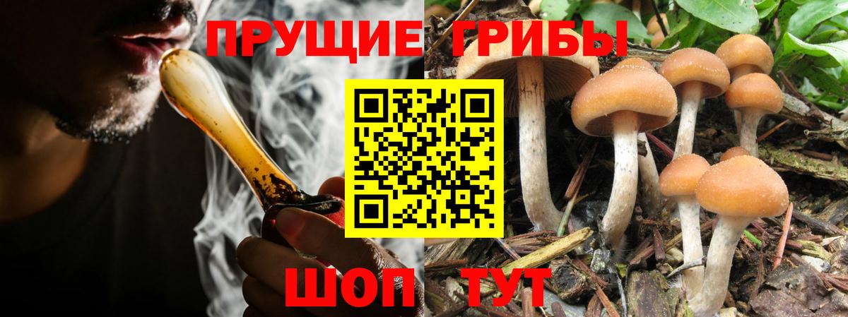 Псилоцибиновые грибы Magic Shrooms  Псилоцибиновые грибы мухоморы  Ачинск  Вход с VPN 