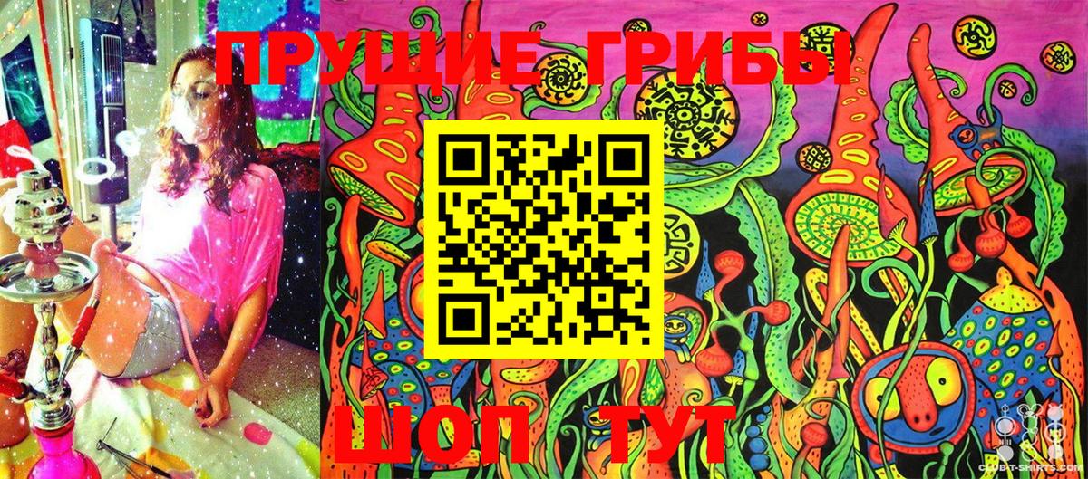 Галлюциногенные грибы Psilocybine cubensis Ачинск